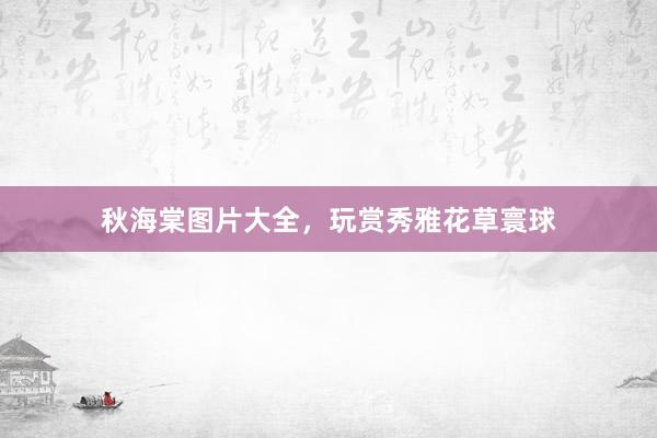 秋海棠图片大全，玩赏秀雅花草寰球