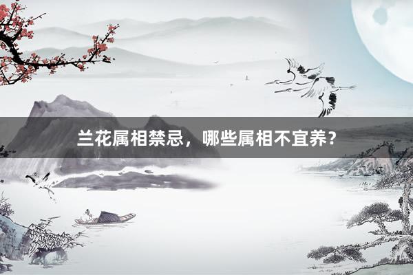 兰花属相禁忌,哪些属相不宜养?
