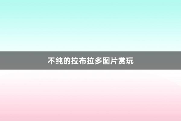 不纯的拉布拉多图片赏玩