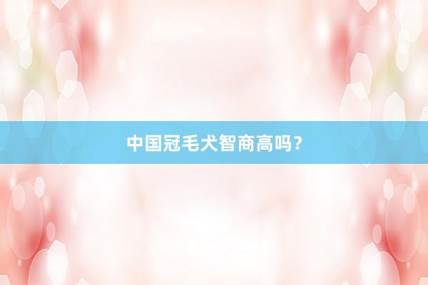 中国冠毛犬智商高吗？