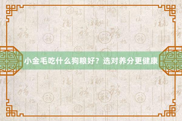 小金毛吃什么狗粮好？选对养分更健康